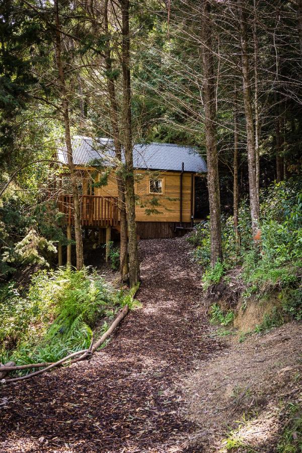 Maitai Whare Iti - Adventure Cabins & House Nelson Bagian luar foto