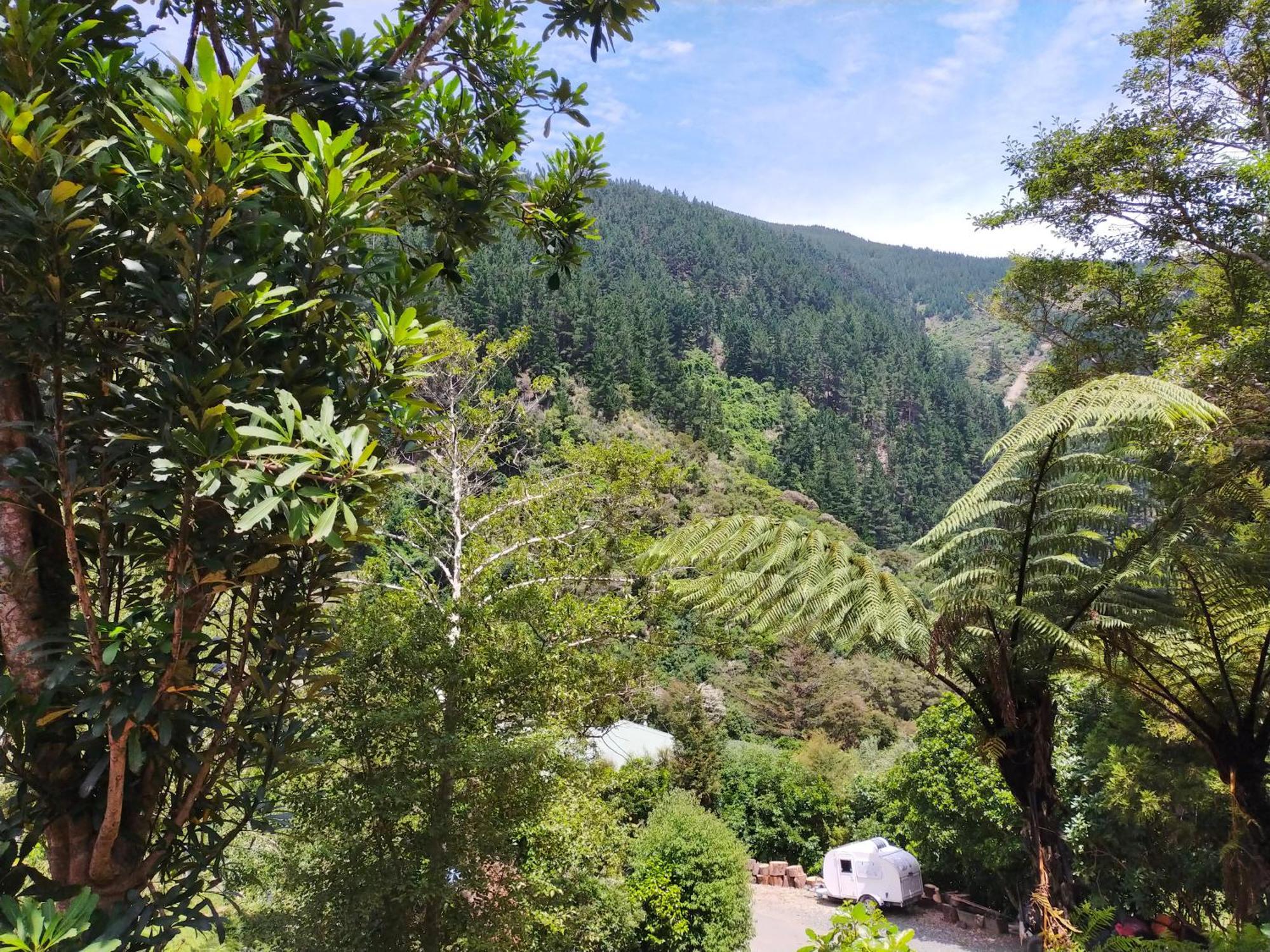 Maitai Whare Iti - Adventure Cabins & House Nelson Bagian luar foto